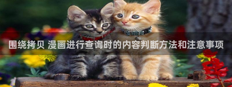 漫画免费看完结榜:围绕拷贝 漫画进行查询时的内容判断方法和注意事项