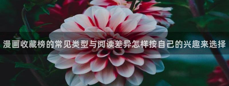 漫画免费看完结榜
